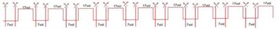 Similarities and differences between intermittent and continuous resting-state fMRI
